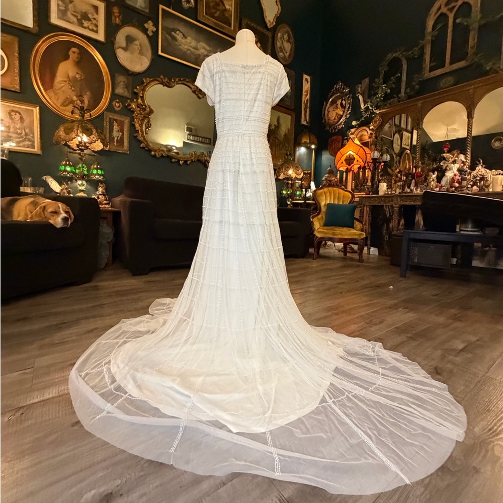 Adrianna Papell Platinum Bridal Gown – Style 39002 | Beaded Tulle Wedding Dress - Picture 5 of 11